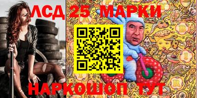 прущие грибы Моздок