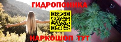 2c-b Можга